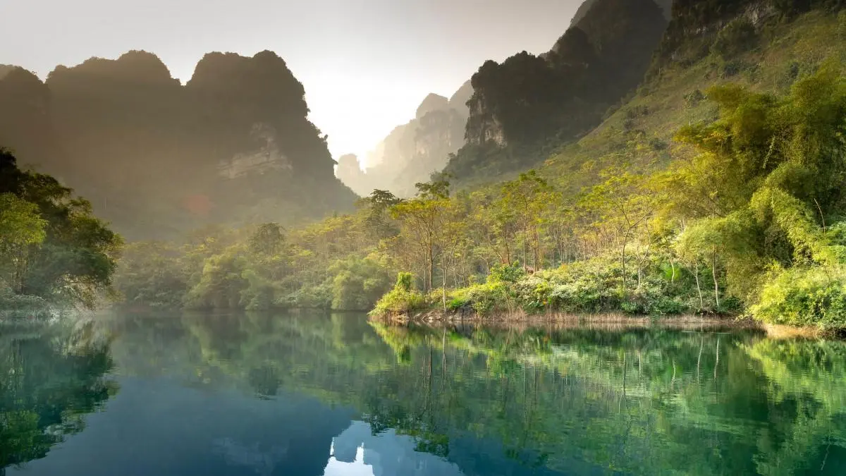 智能系统高性能自动化